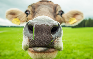 Expo Set to Empower Local Producers