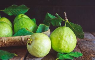 The amazing health benefits of guava leaves